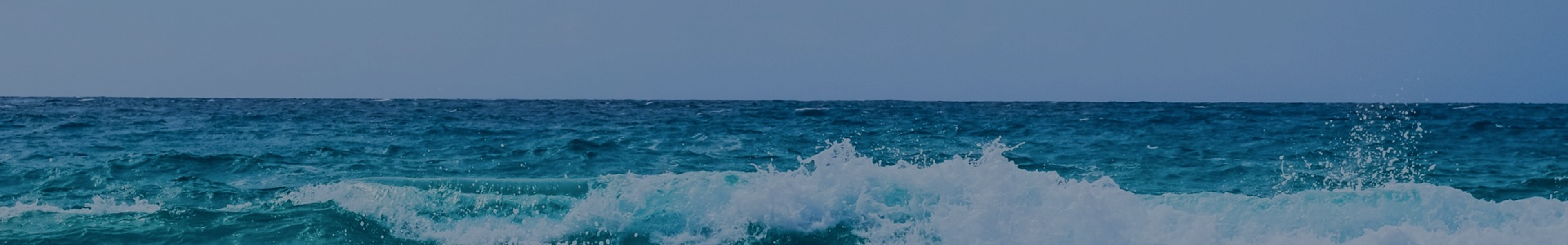 perfect-banner