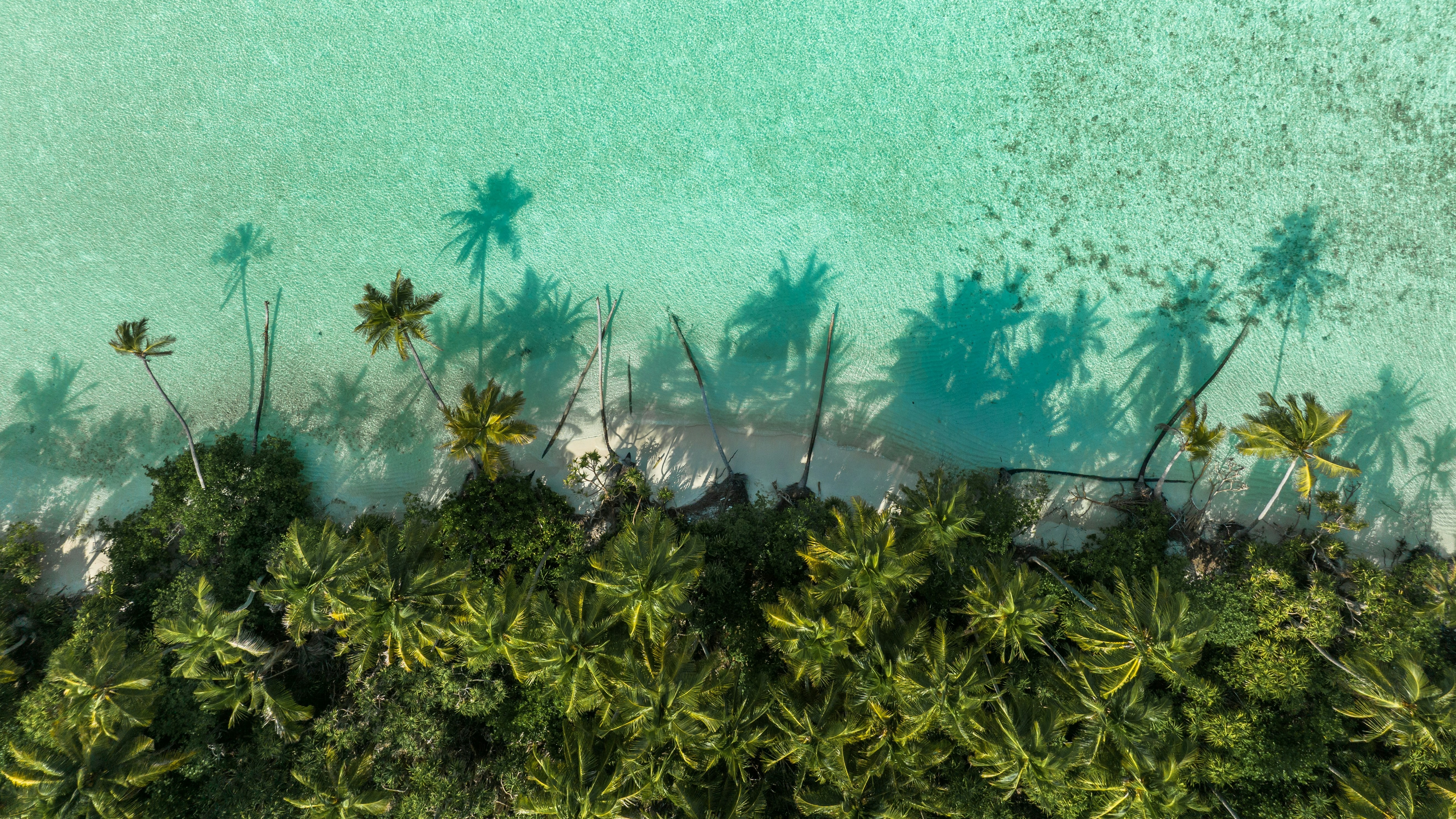 A Fijian Beach